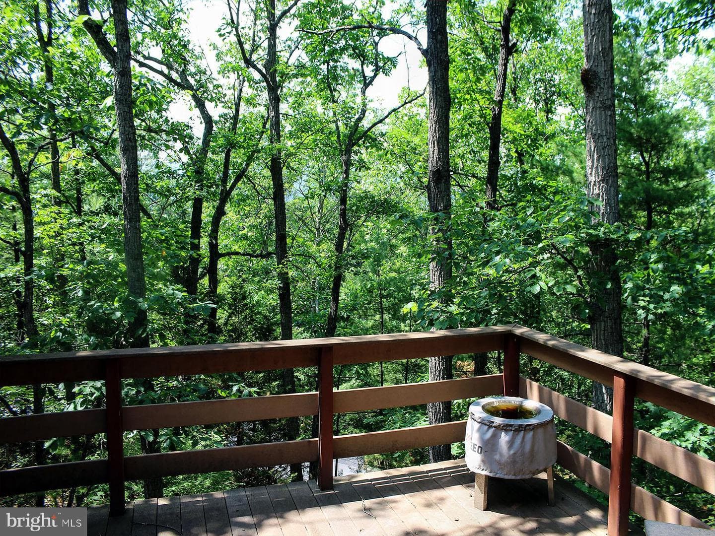 141 Mallard Drive photo 13