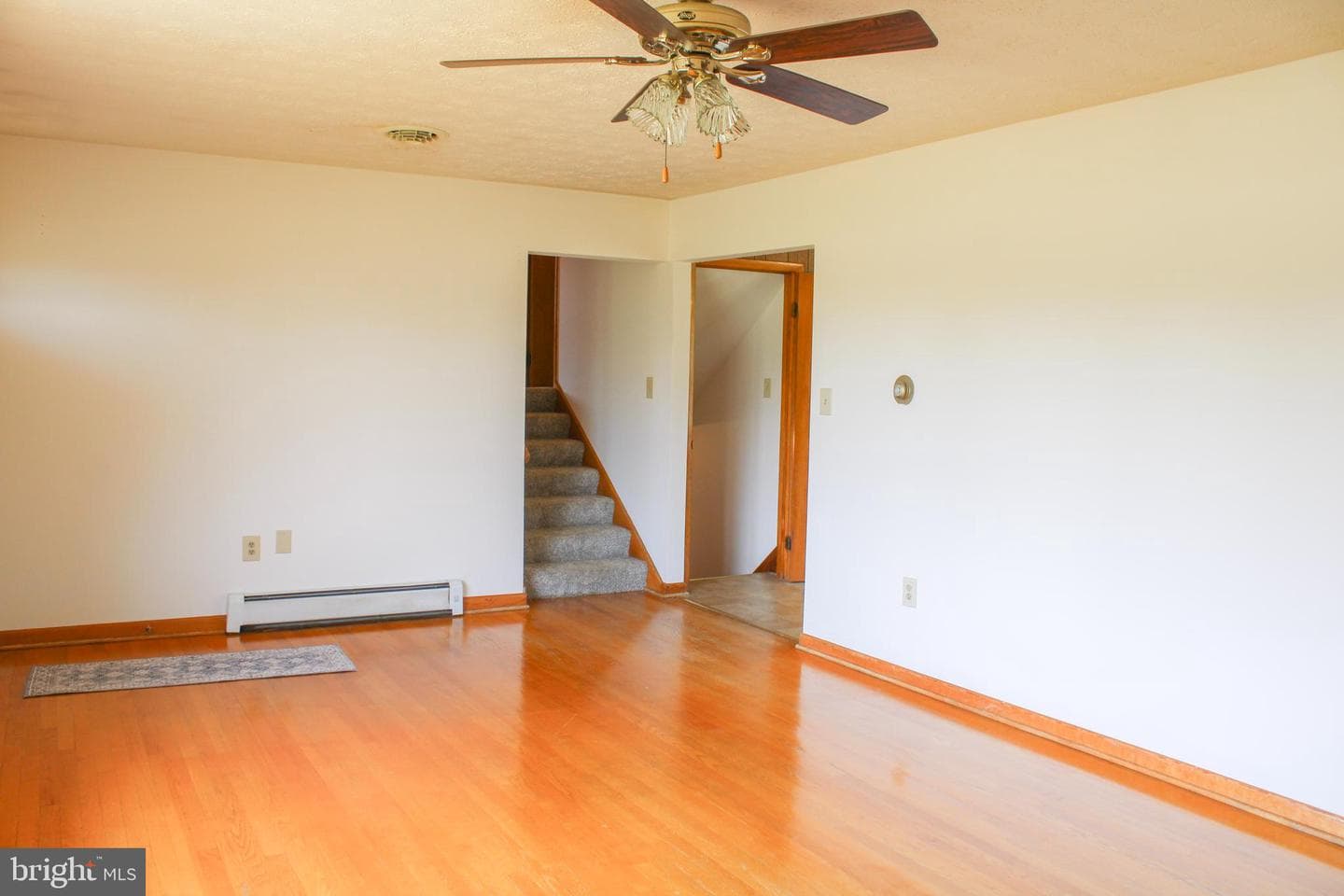 1638 Hahns photo 14