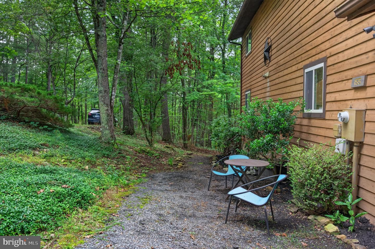 155 Beech photo 4