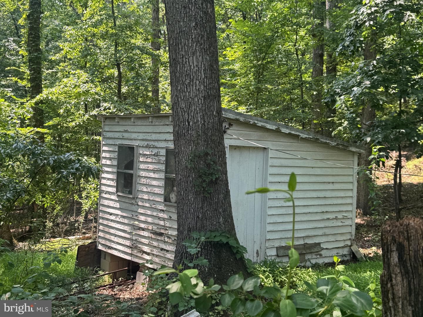 5111 Crooked Run Road photo 9