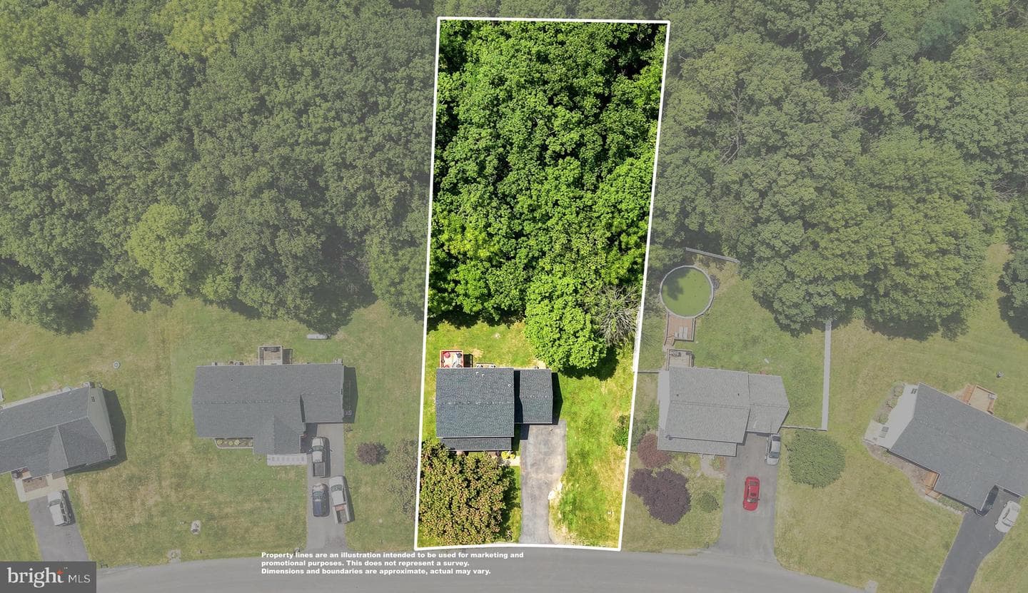 116 Baer Oak Drive photo 6