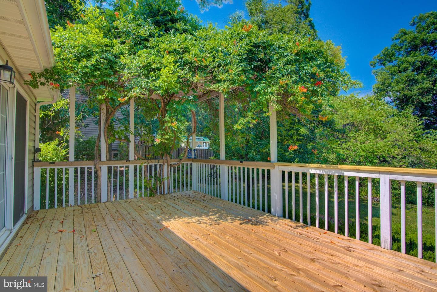 47 Stuart Court photo 13