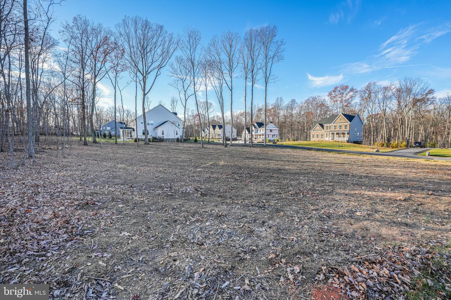 11912 Beamer Drive photo 69