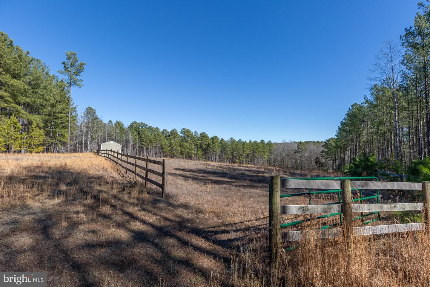 10011 Tarrington Way photo 58