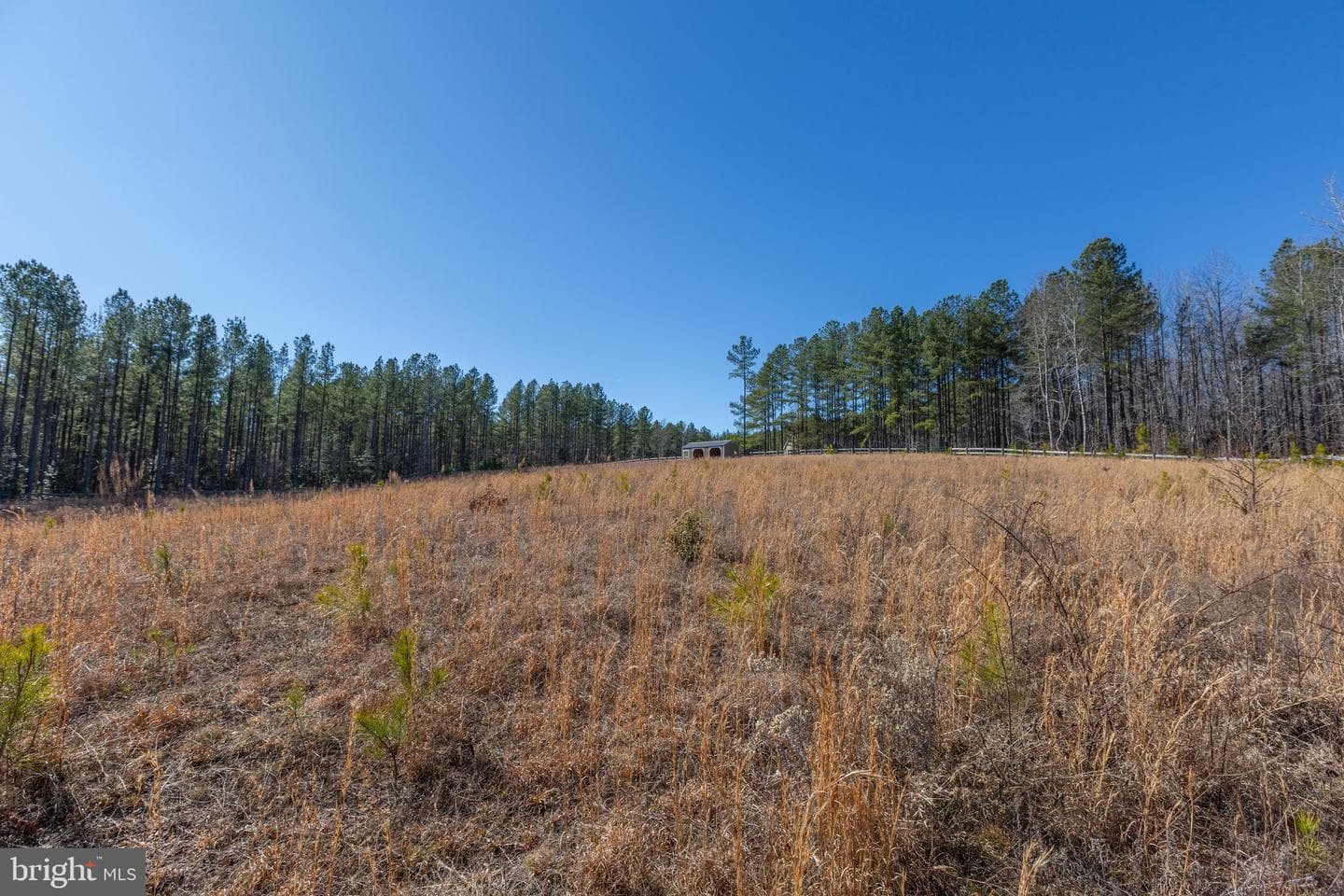 10011 Tarrington Way photo 61