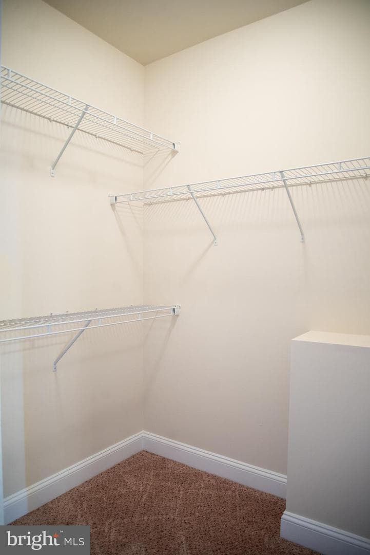 12715 River Crossing Way photo 13