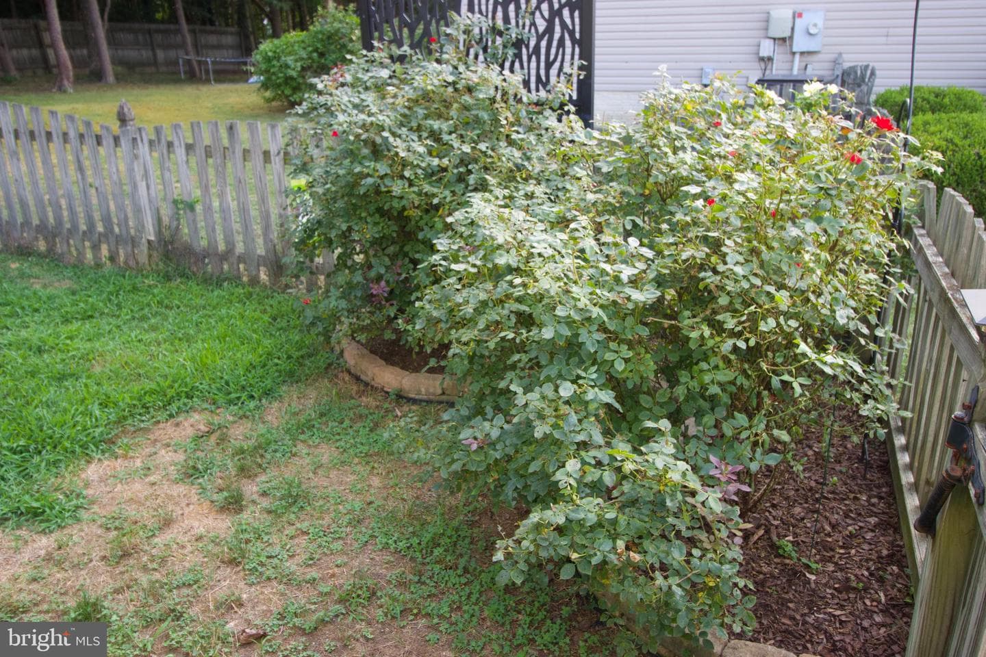 4004 Mossy Bank Lane photo 33