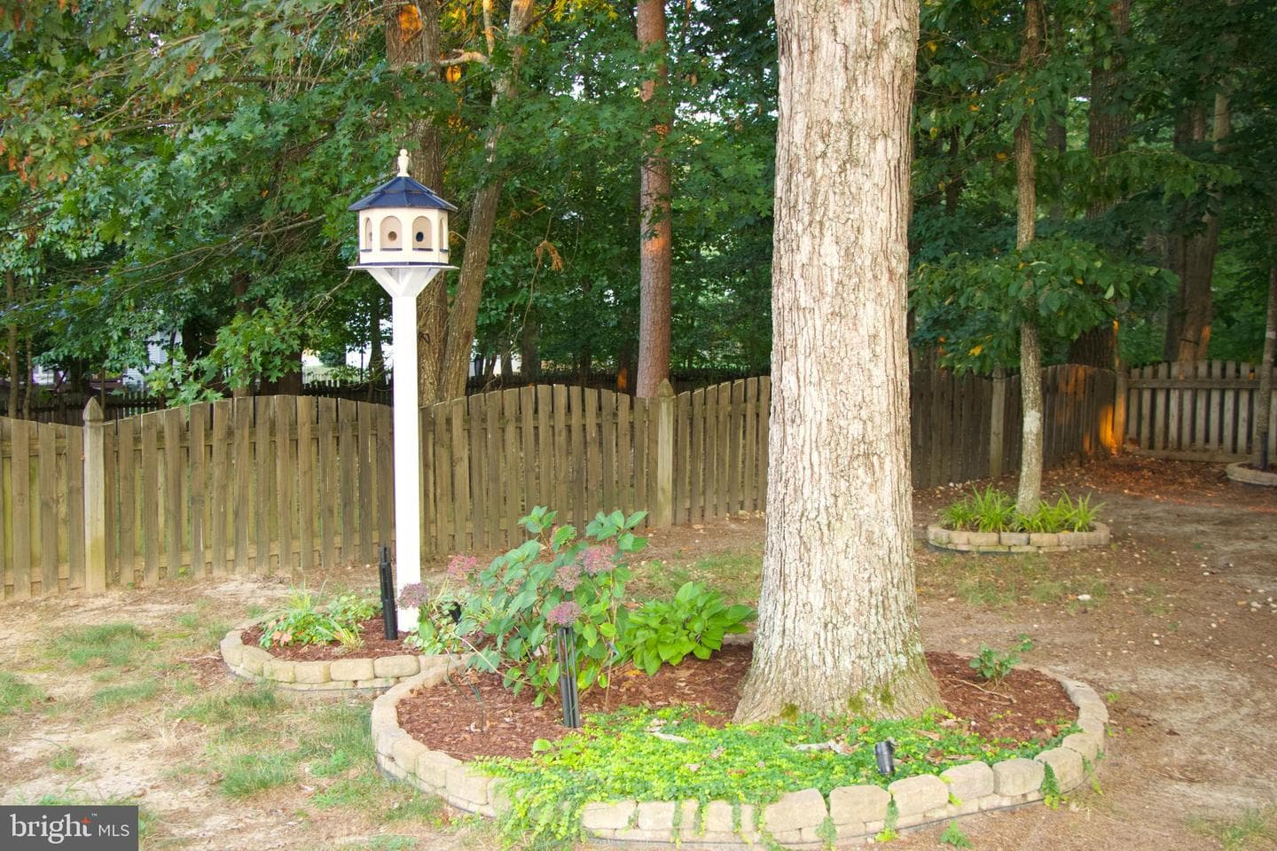 4004 Mossy Bank Lane photo 50