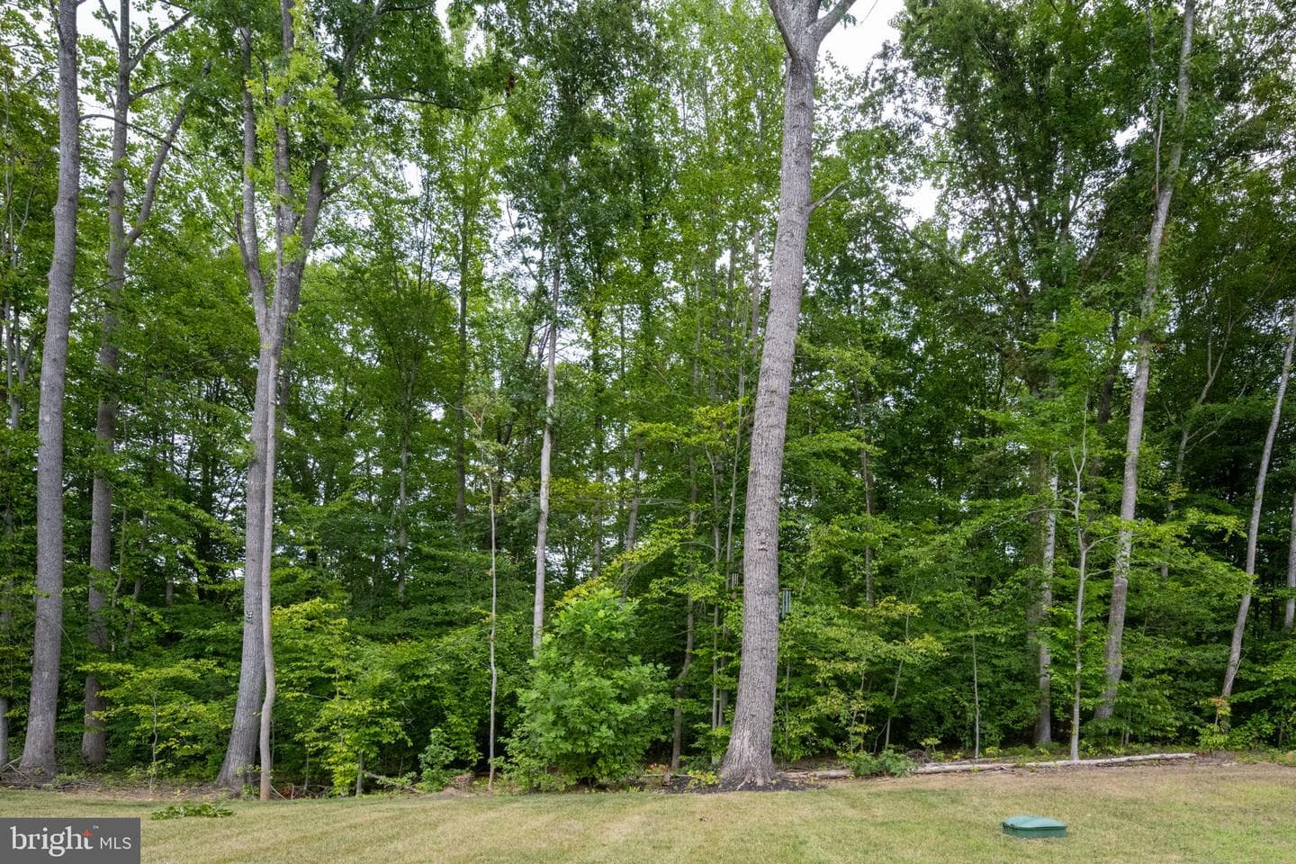 8611 Sylvannah Dr. photo 70