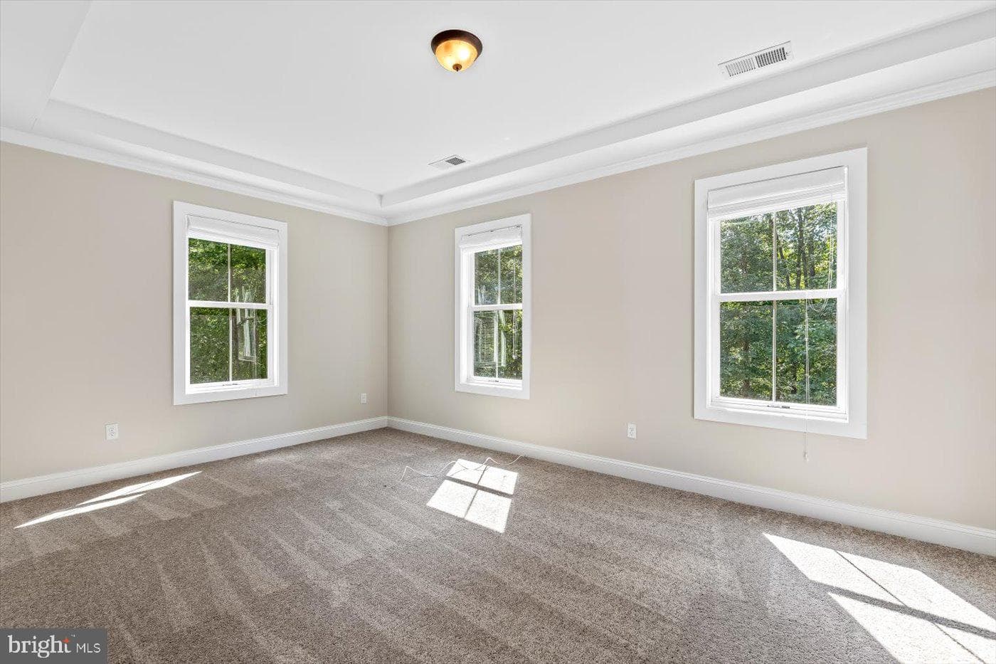 11503 Turning Leaf Court photo 38