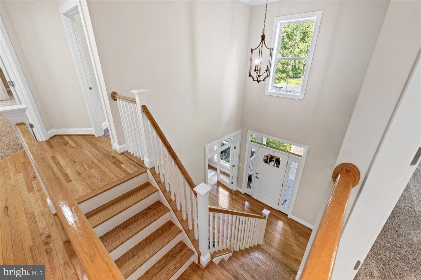 11503 Turning Leaf Court photo 48