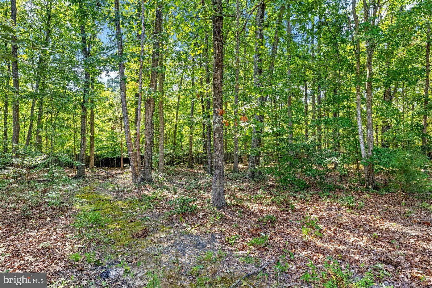 11503 Turning Leaf Court photo 73