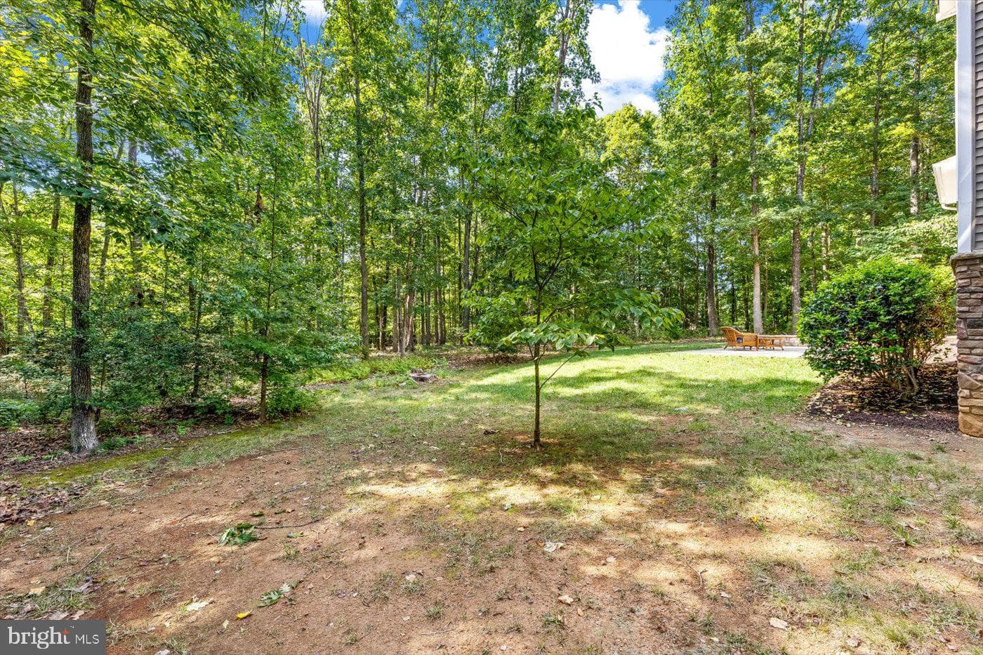 11503 Turning Leaf Court photo 76