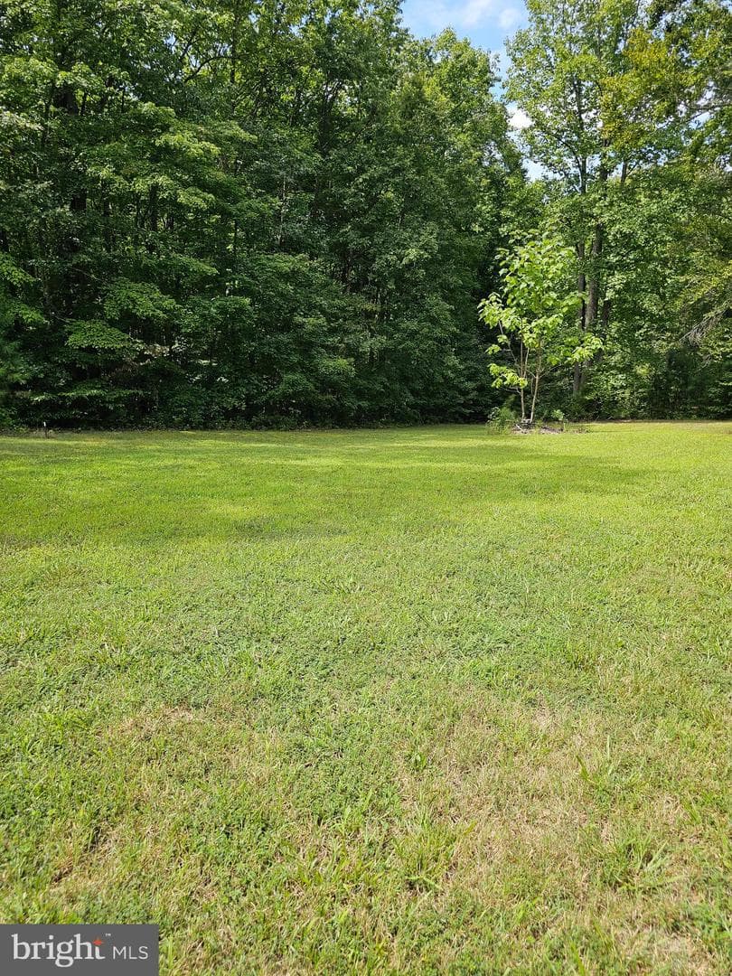 6624 Williams Lane photo 2