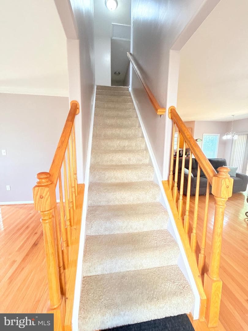 3122 Terra Springs Drive photo 7