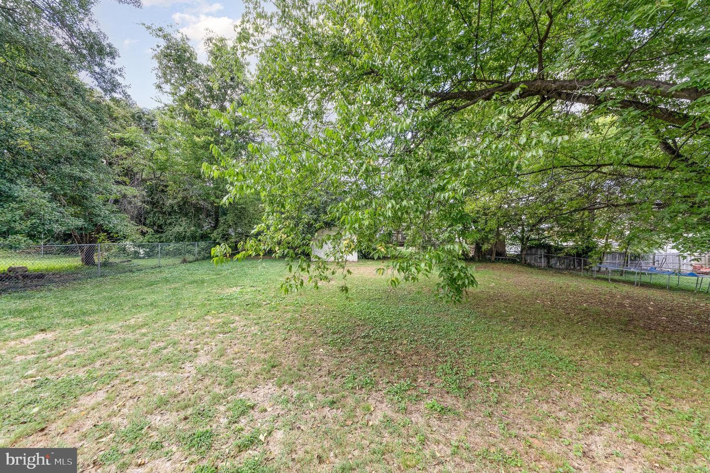 206 Mansfield Street photo 22