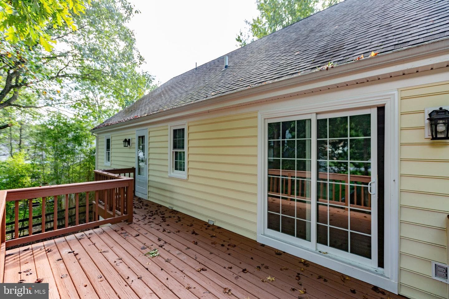11907 Buttercup Lane photo 42