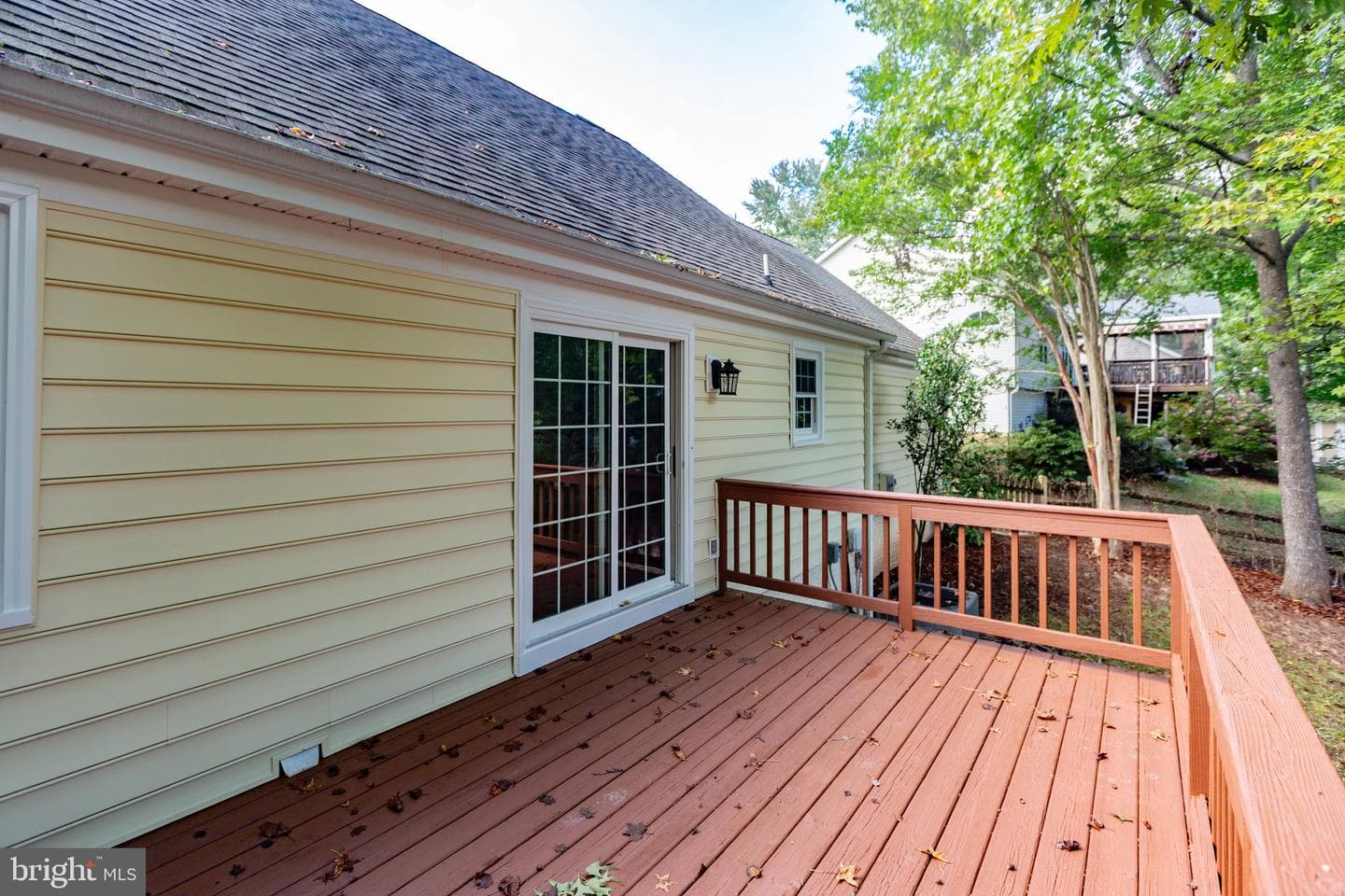 11907 Buttercup Lane photo 45