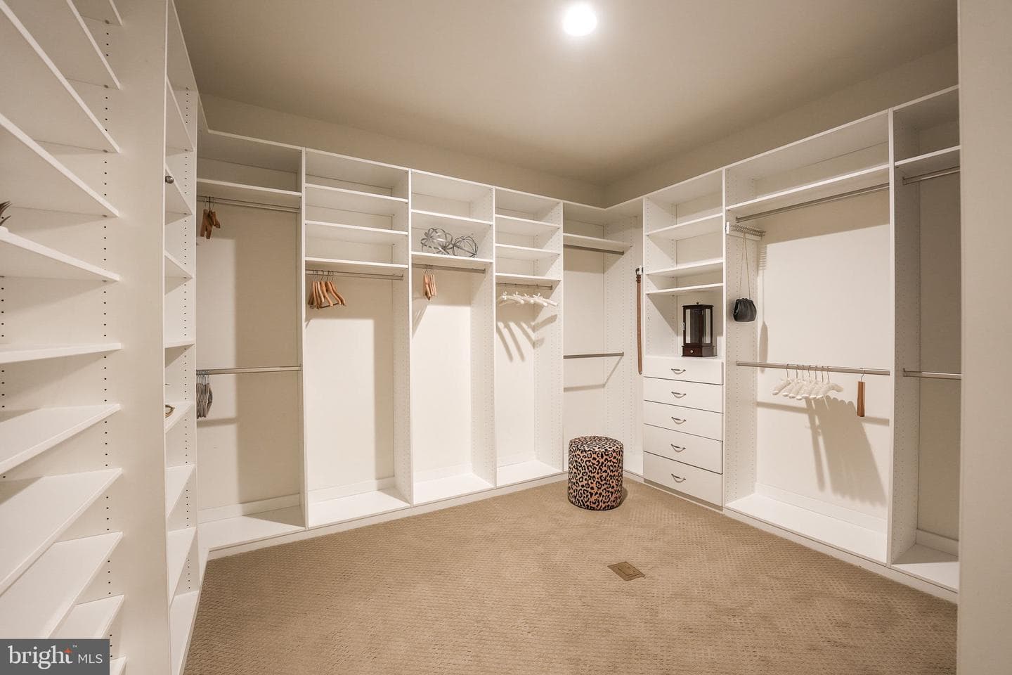 12426 Ruby Red Drive photo 22