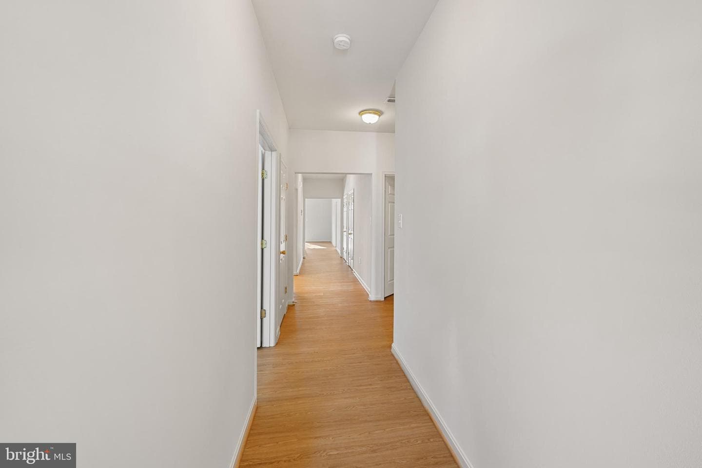 4316 Turriff Lane photo 9