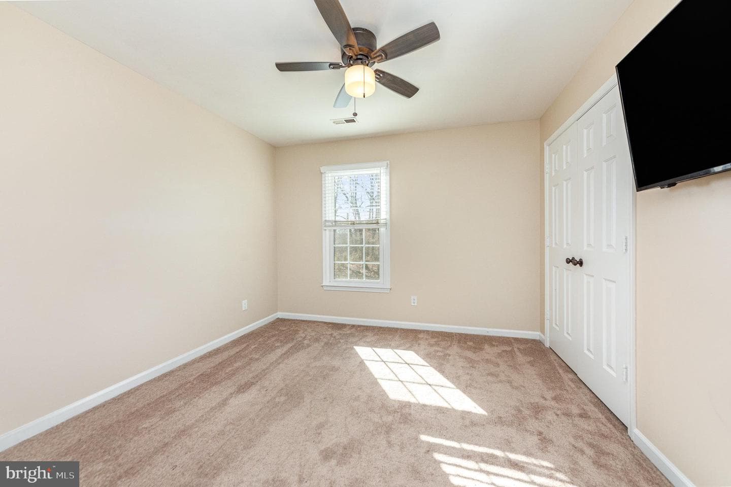 10517 Edinburgh Drive photo 19