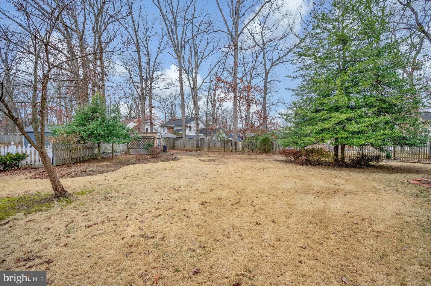 3529 Waverly Drive photo 3