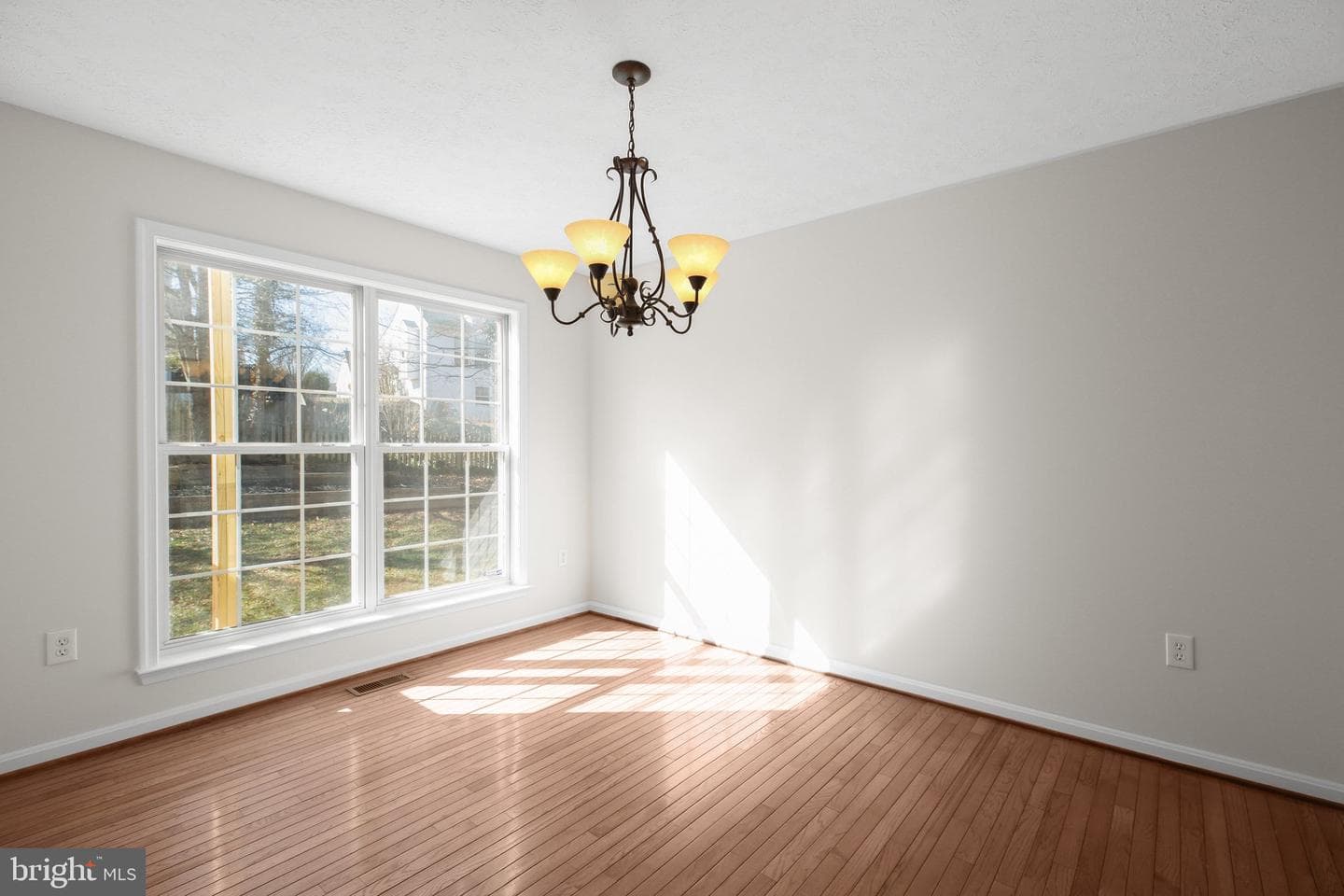 10104 Chesney Drive photo 21