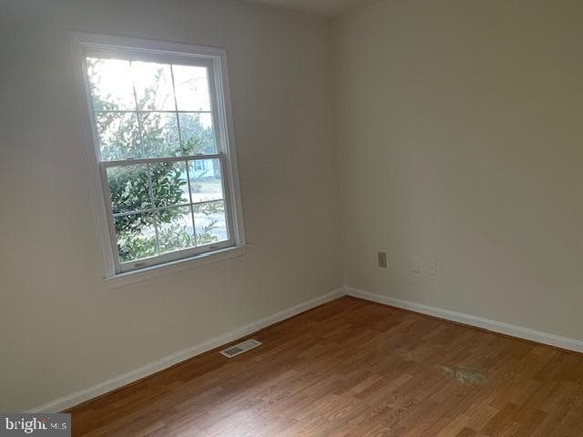 10701 White Pine Lane photo 16
