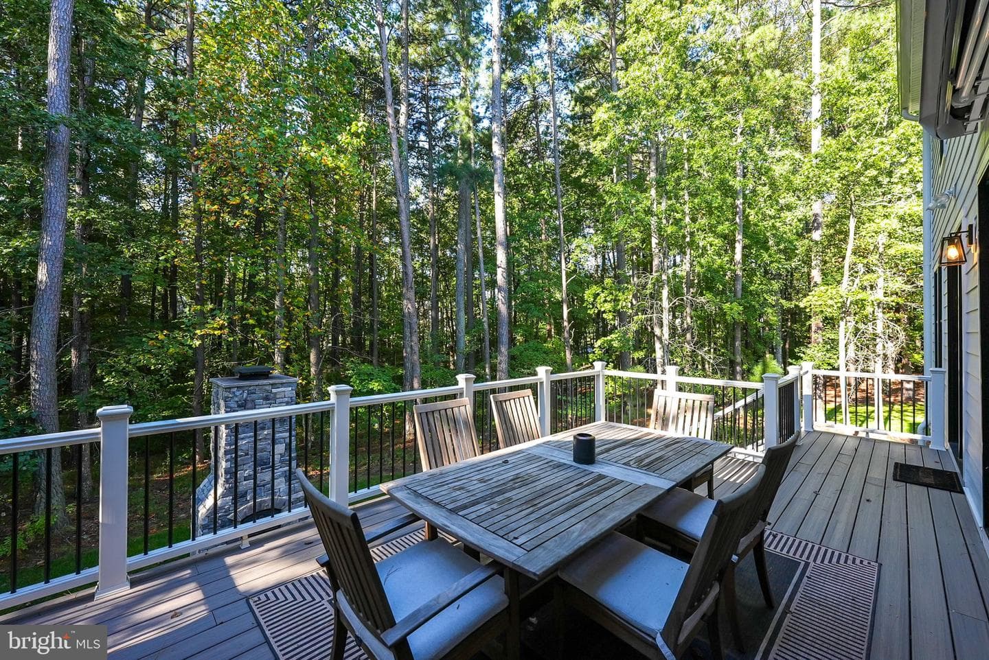 11220 Valor Bridge Drive photo 53