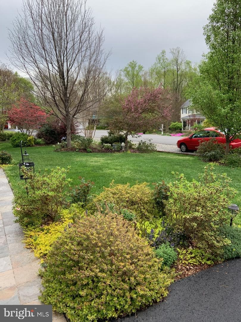9912 Ashmeade Court photo 73