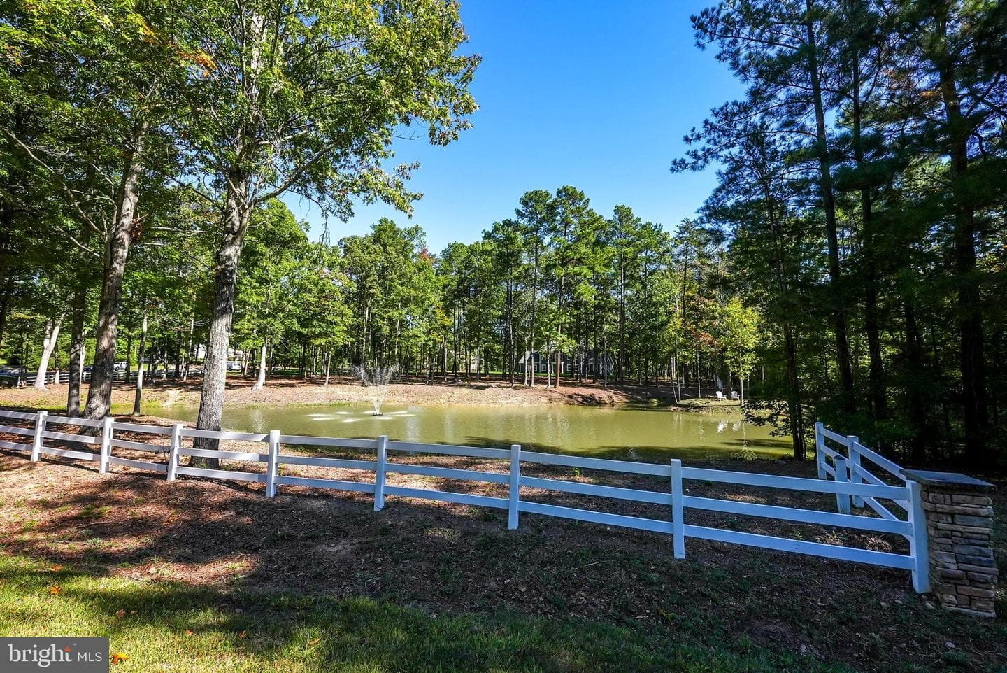 11204 Honor Bridge Farm Place photo 57