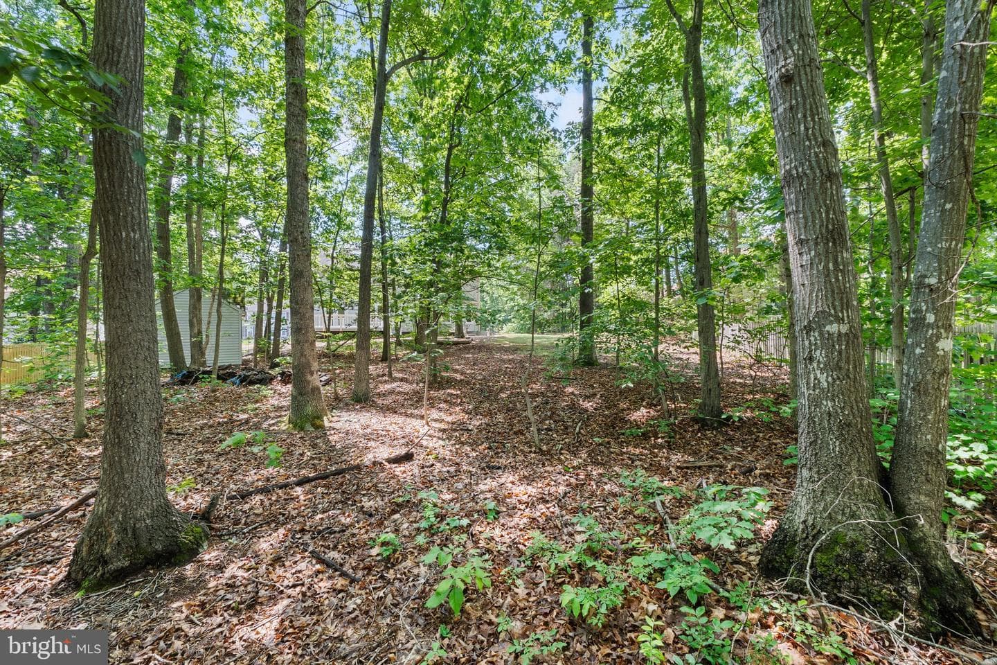 5015 Brookshire Court E photo 49