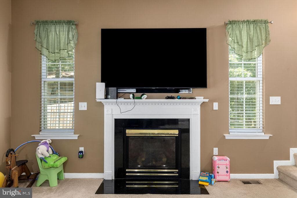 12407 Salient Lane photo 17