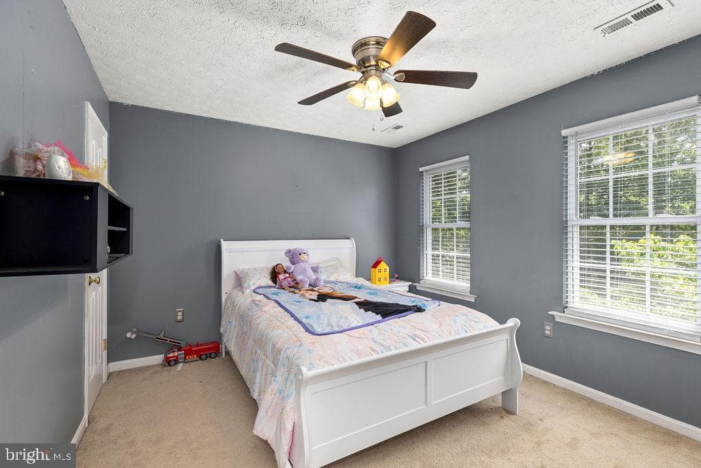 12407 Salient Lane photo 19
