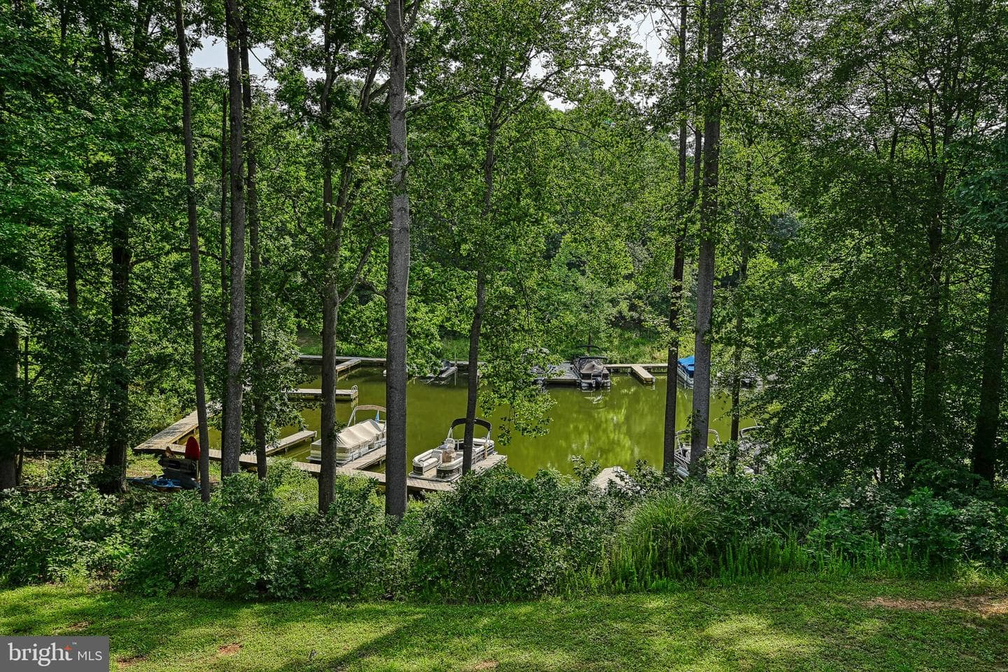 15513 Chestnut Tree Court photo 60