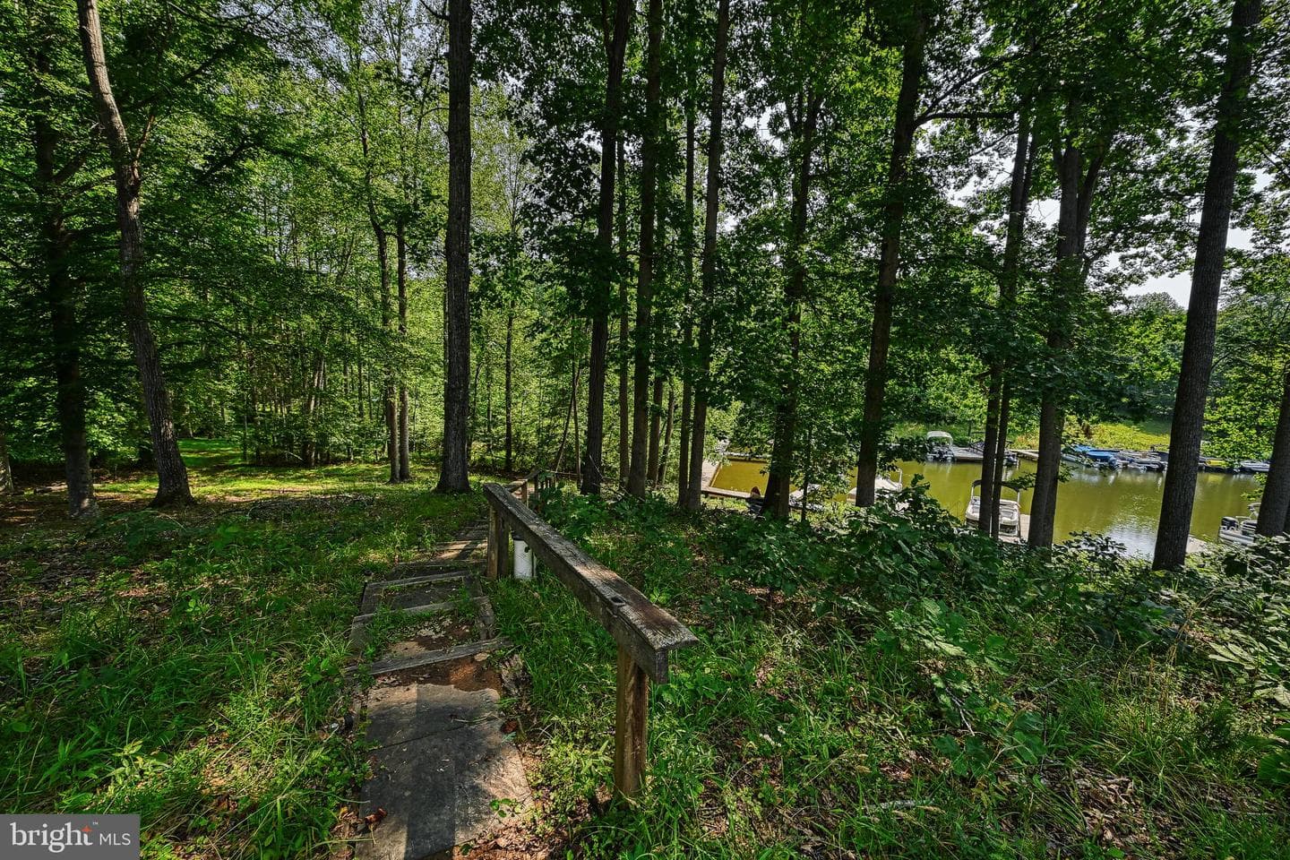 15513 Chestnut Tree Court photo 61