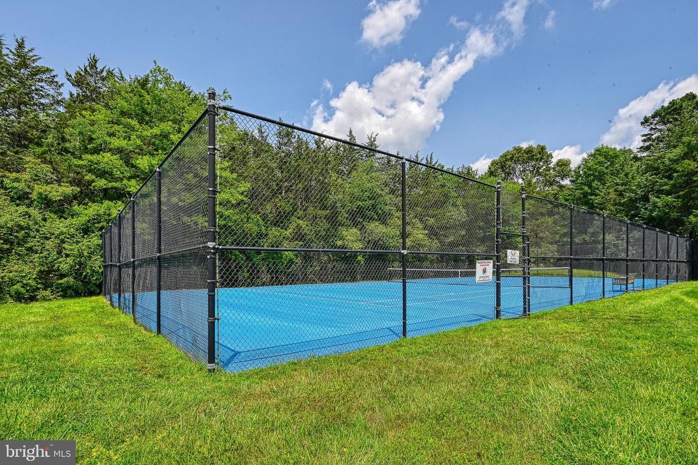 15513 Chestnut Tree Court photo 83
