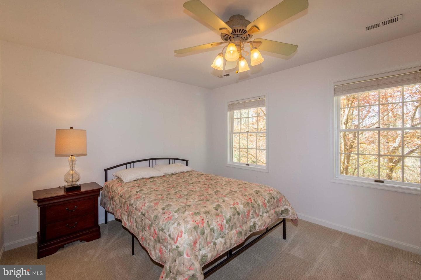 11523 Red Rock Lane photo 52