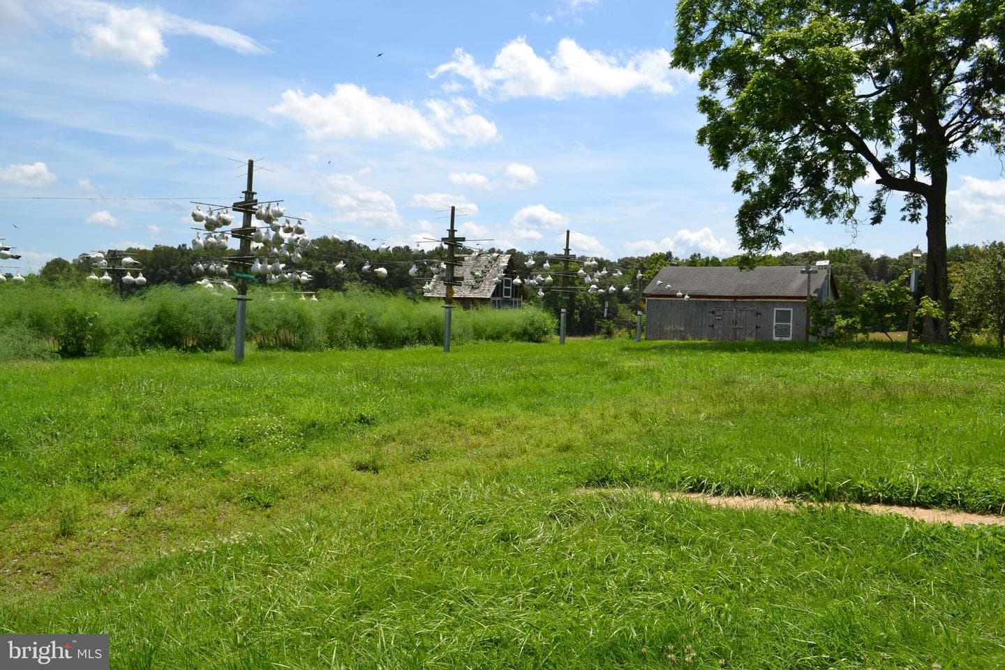 6830 Black Rock Drive photo 32