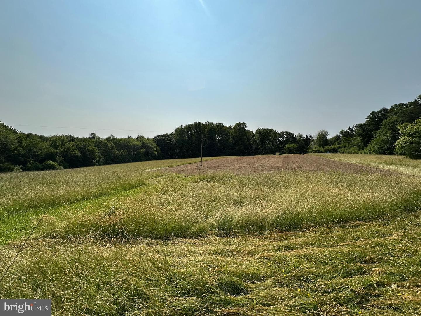 10017 Hayden Road photo 20