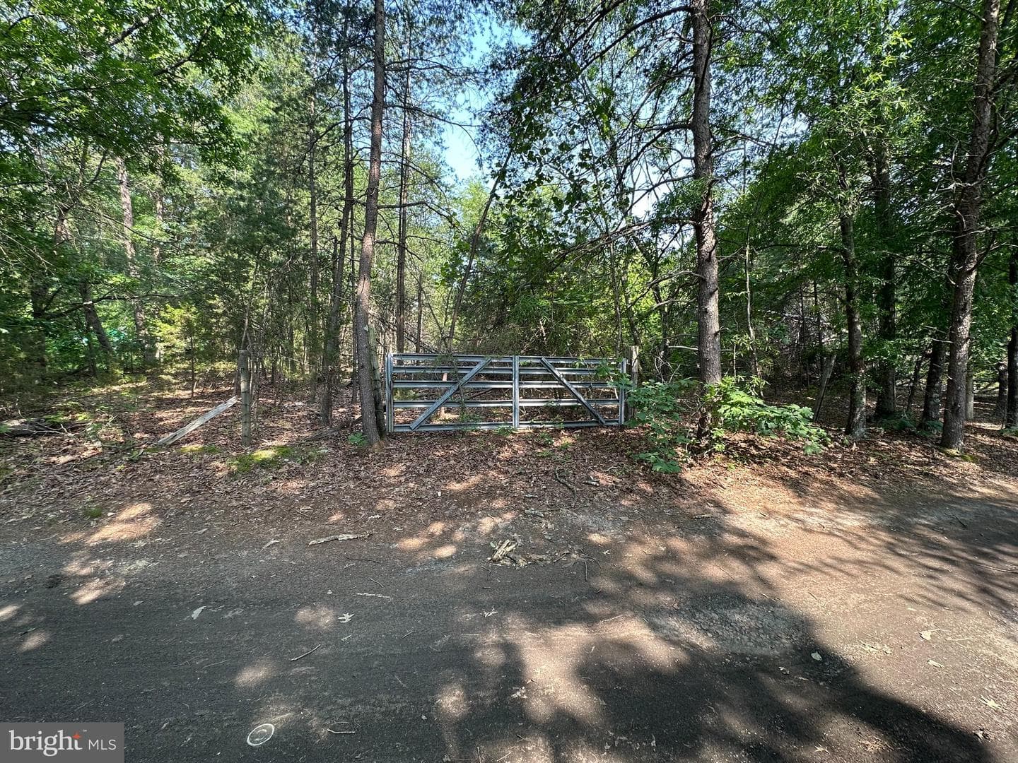 10017 Hayden Road photo 26