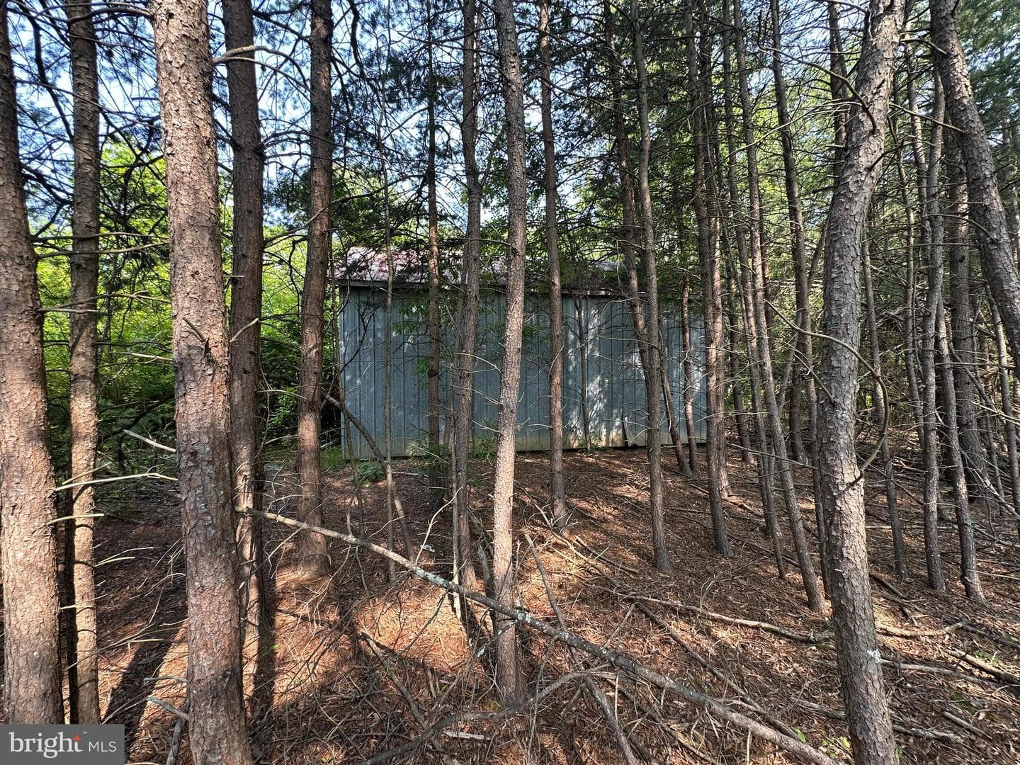 10017 Hayden Road photo 27