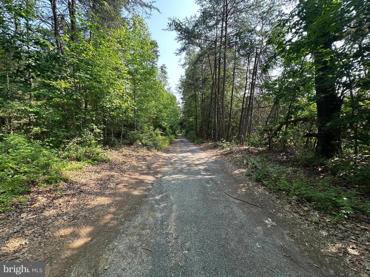 10017 Hayden Road photo 3