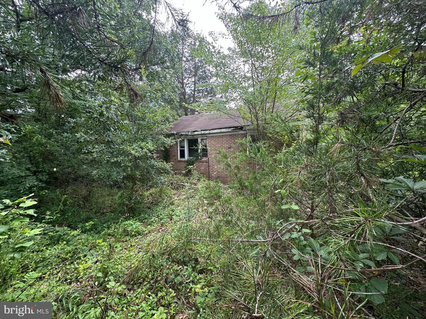 10017 Hayden Road photo 31