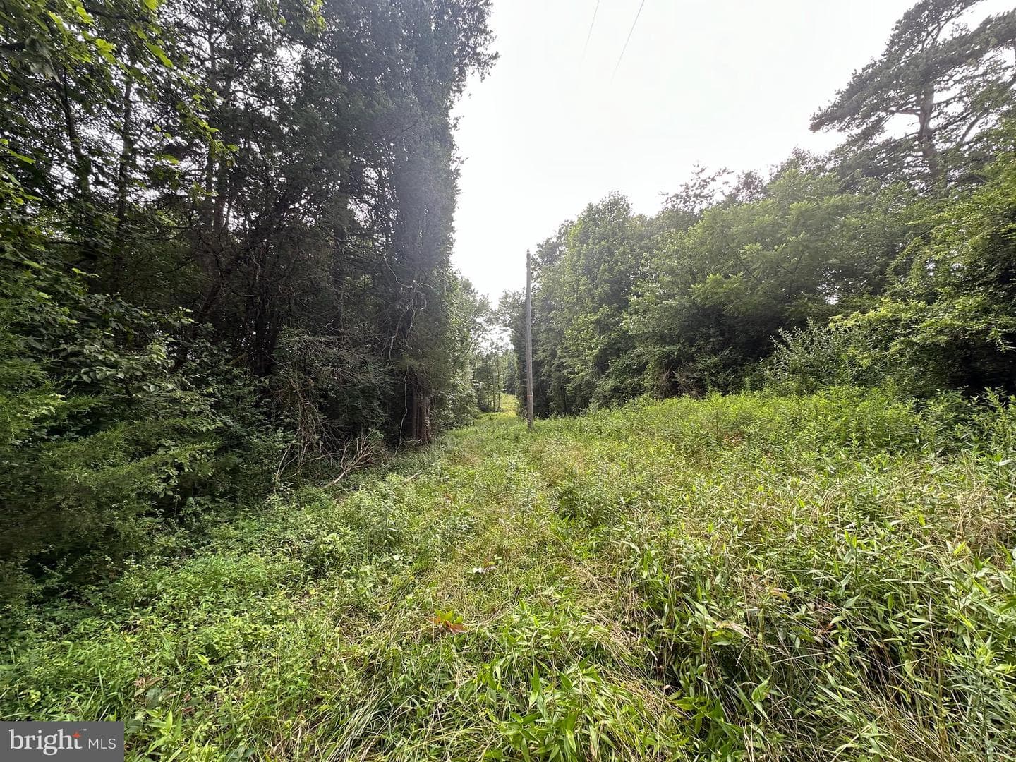 10017 Hayden Road photo 32