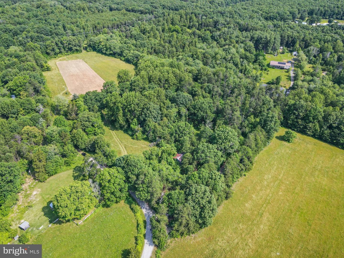 10017 Hayden Road photo 6