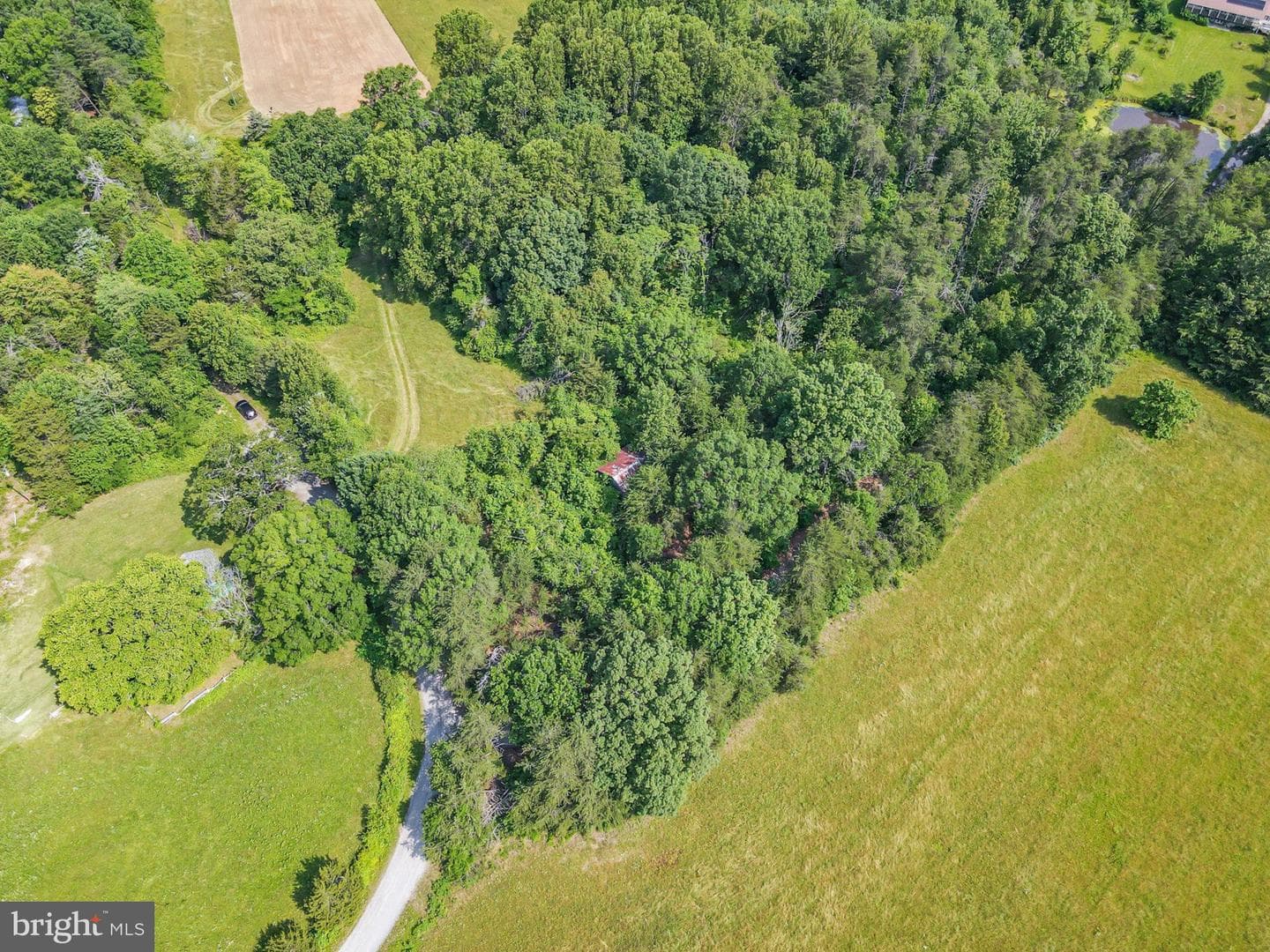 10017 Hayden Road photo 9