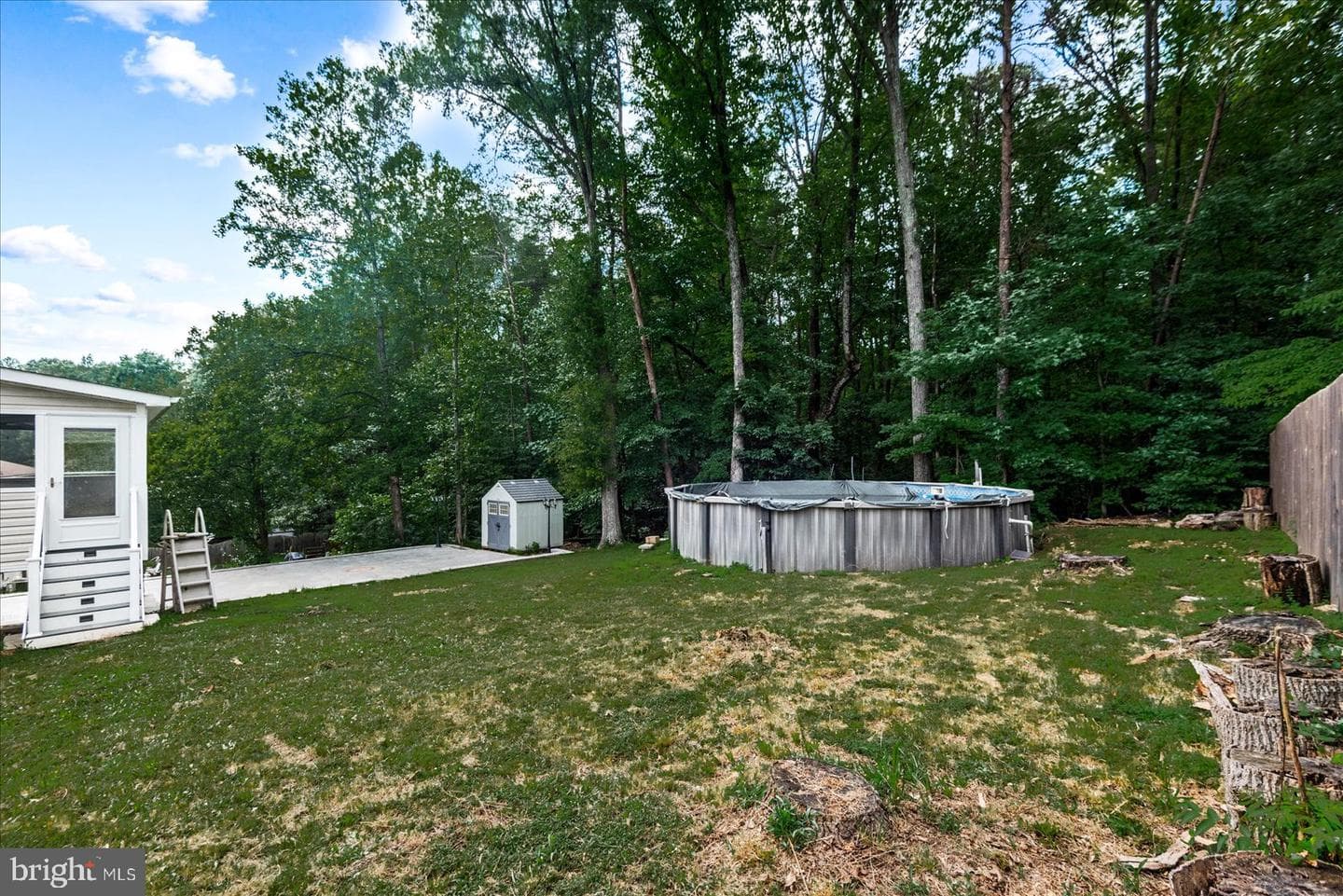 11015 Abbey Lane photo 28