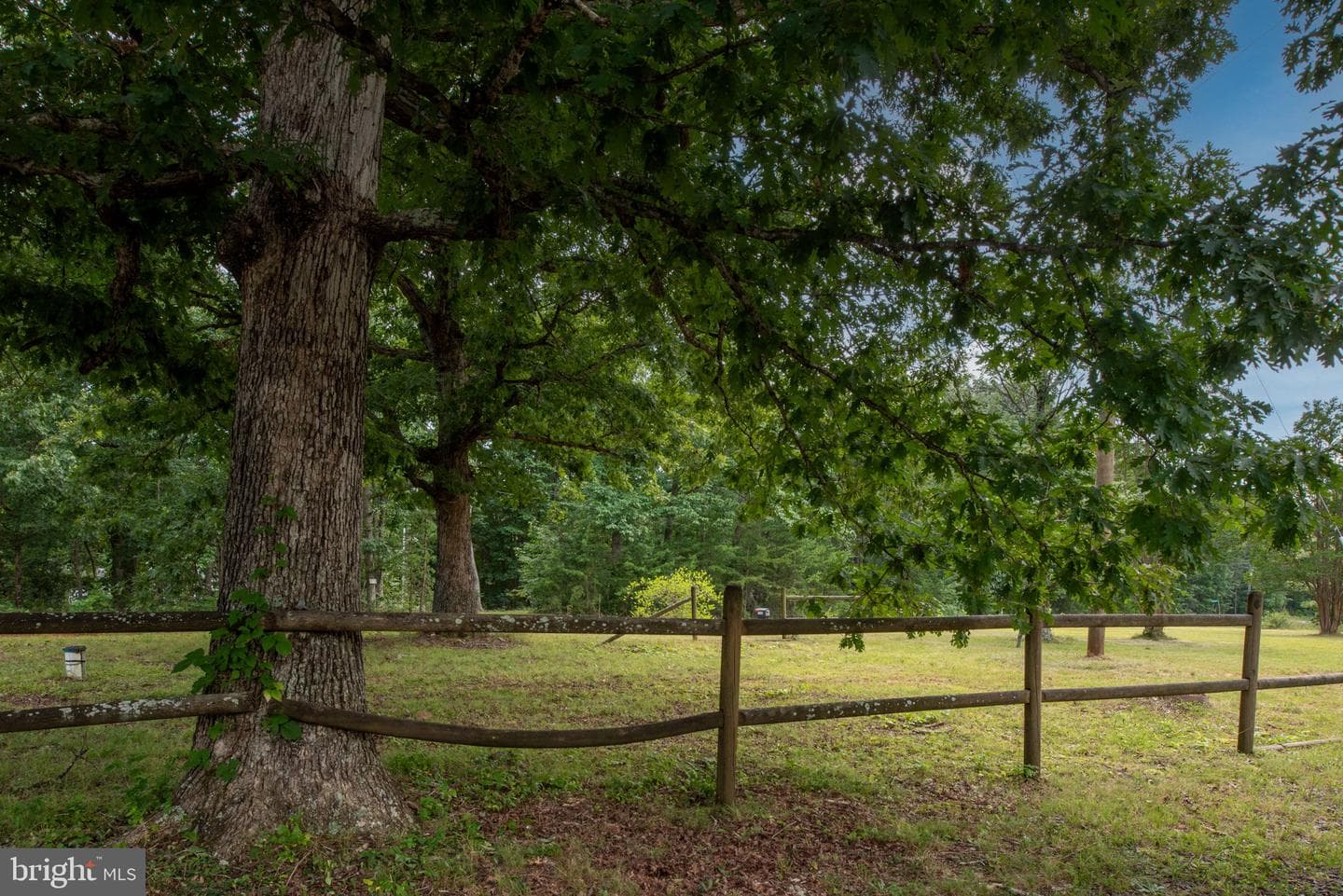 7541 Lawyers Road photo 52