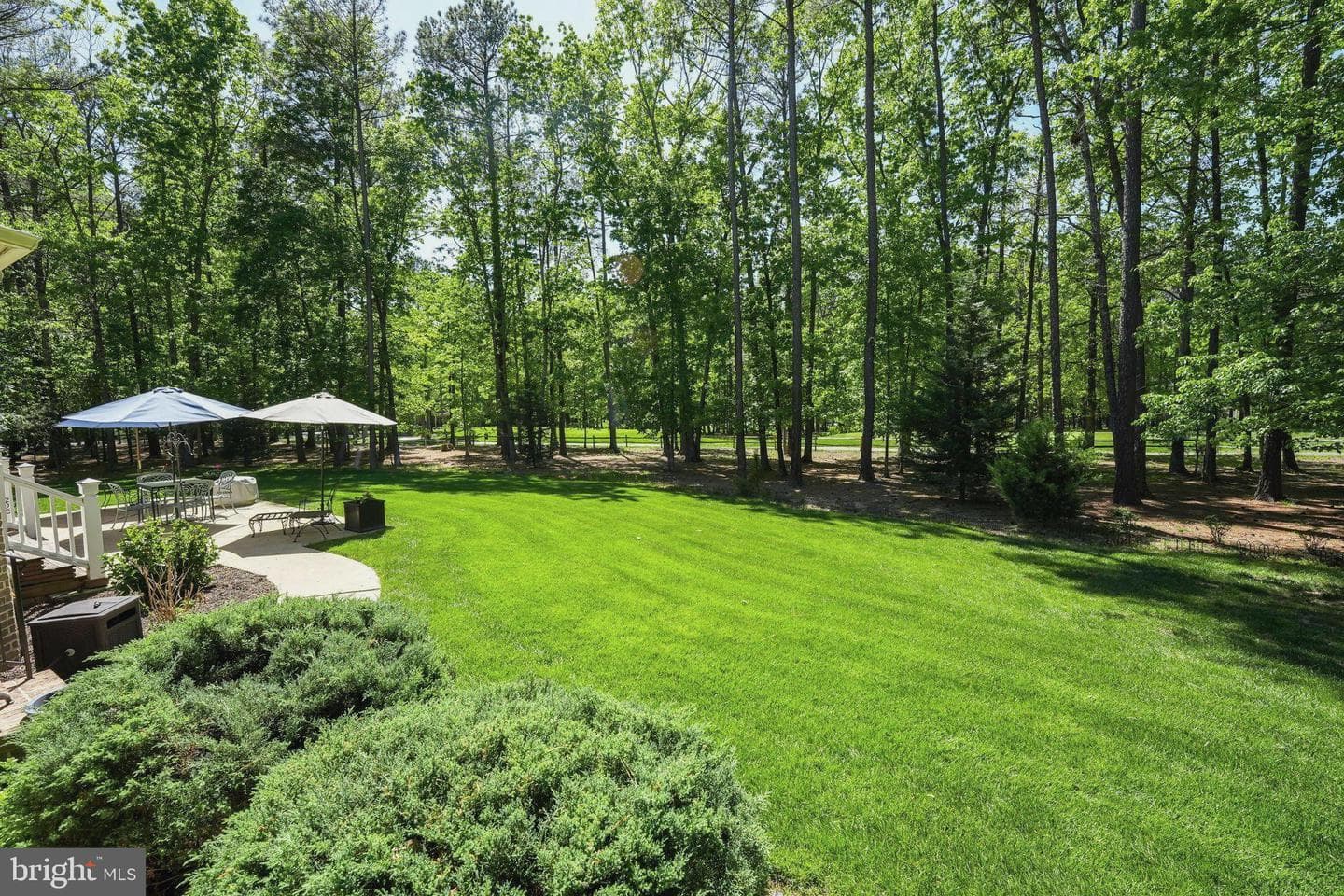 11504 Burnside Place photo 8
